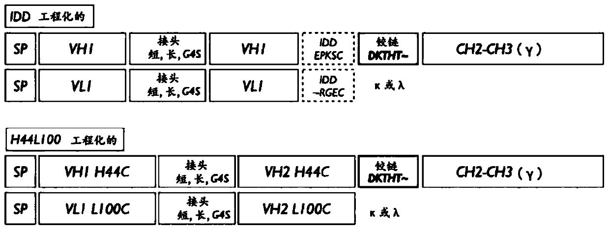 Novel multi-specific binding proteins