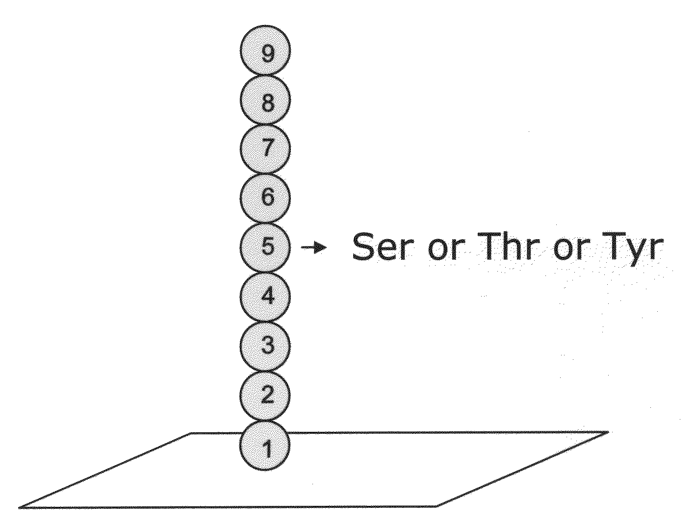 High density peptide arrays containing kinase or phosphatase substrates