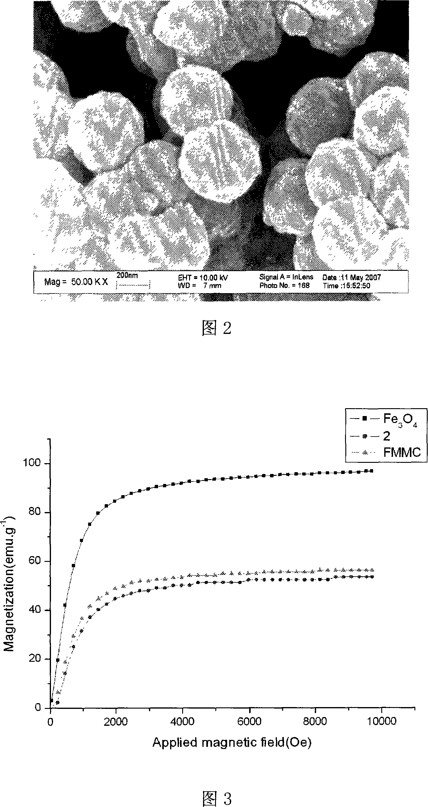 Functionalized silicon coating mesoporous magnetic carrier and preparation method and application thereof