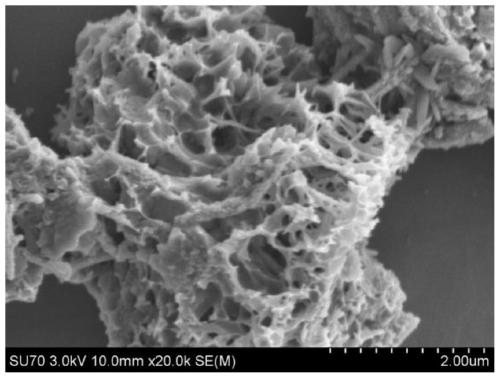 High-dispersion metal nanoparticle/biomass carbon composite electrode material as well as preparation method and application thereof