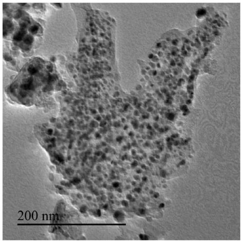 High-dispersion metal nanoparticle/biomass carbon composite electrode material as well as preparation method and application thereof