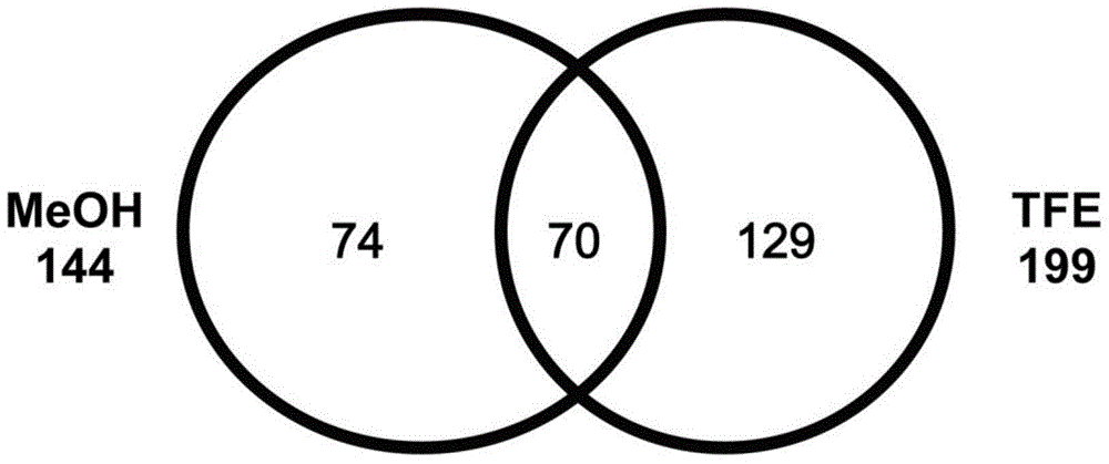 Method of identifying foetal erythroblast