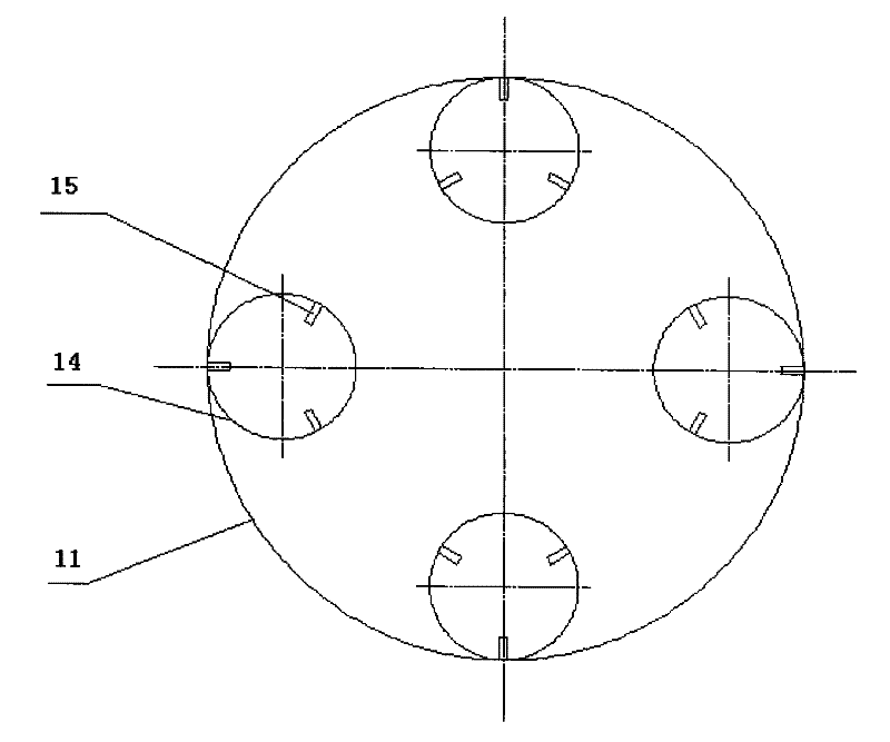 Coconut rice and production method thereof