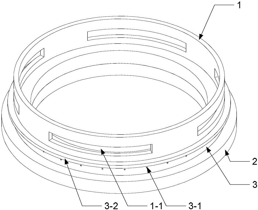 Gas distributor/anode integrated structure for Hall thruster