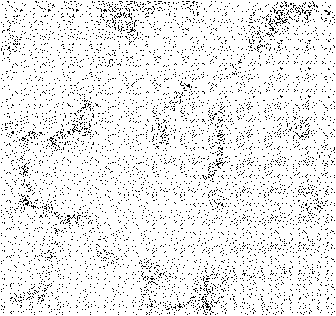 Method for preparing antibacterial compound