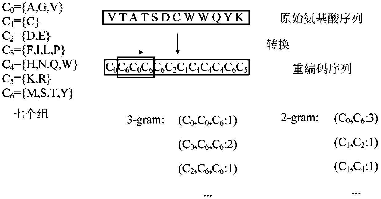 Protein-protein interaction prediction method using multivariate mutual information and residue binding energy