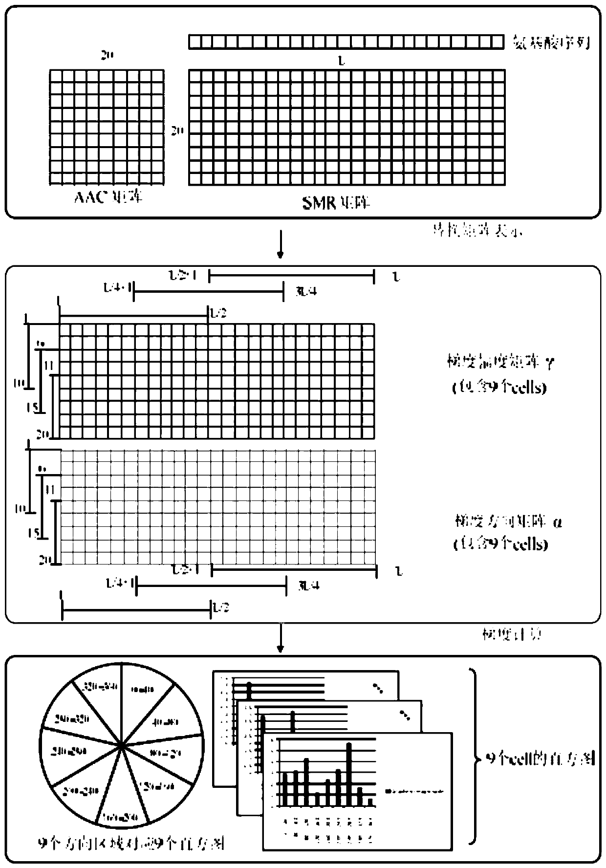 Protein-protein interaction prediction method using multivariate mutual information and residue binding energy