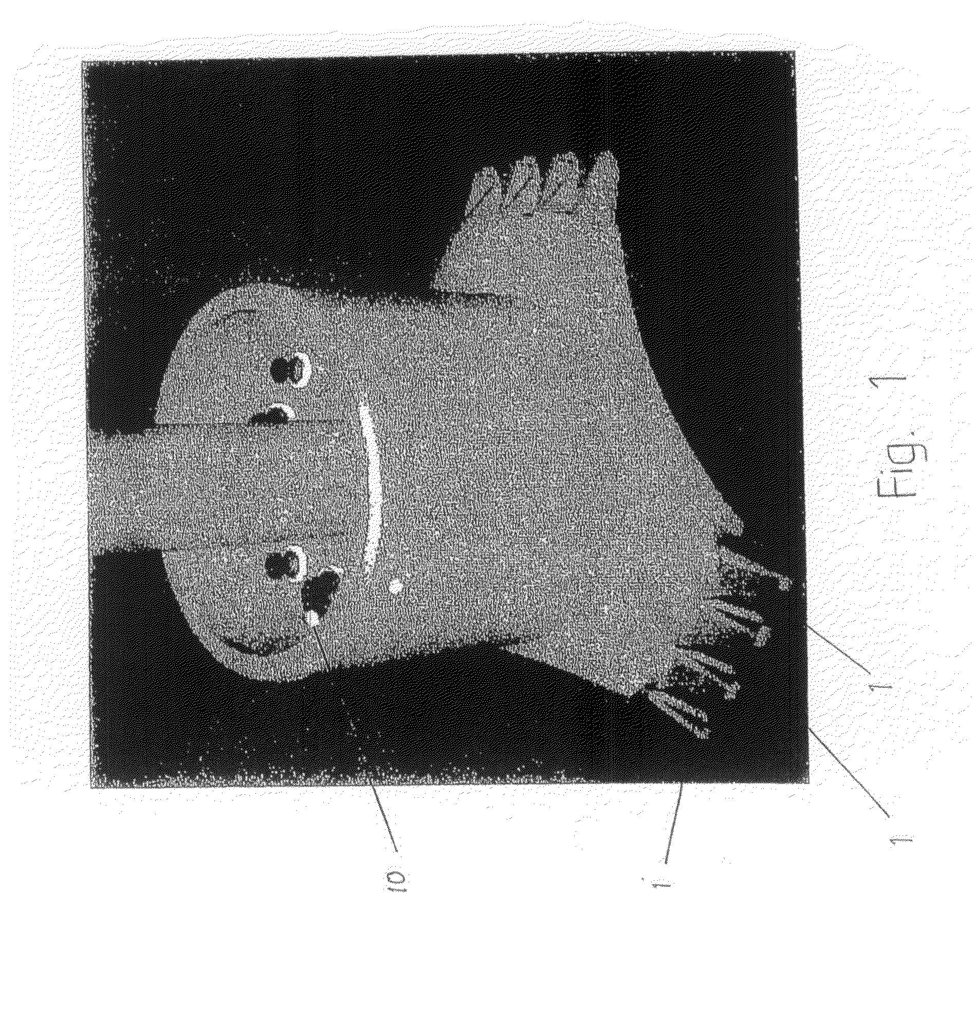 Mooring Pull-In System