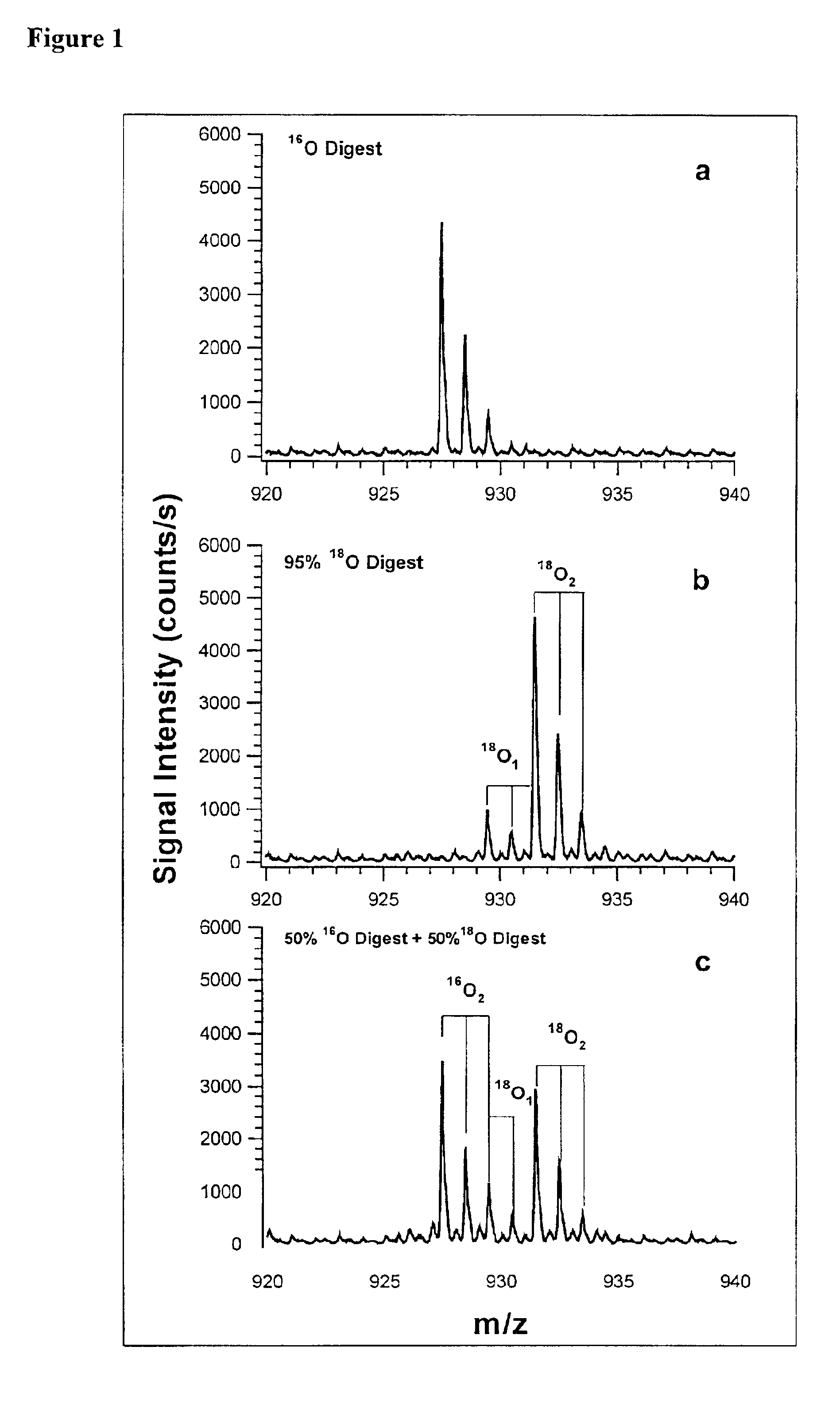 Labeling of proteomic samples during proteolysis for quantitation and sample multiplexing