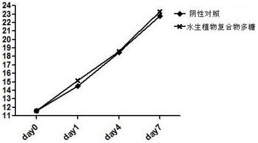 Aquatic plant compound, extraction method of polysaccharide in aquatic plant compound, and novel use of polysaccharide in aquatic plant compound