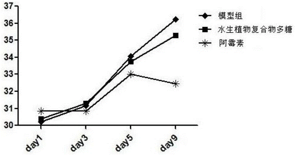 Aquatic plant compound, extraction method of polysaccharide in aquatic plant compound, and novel use of polysaccharide in aquatic plant compound