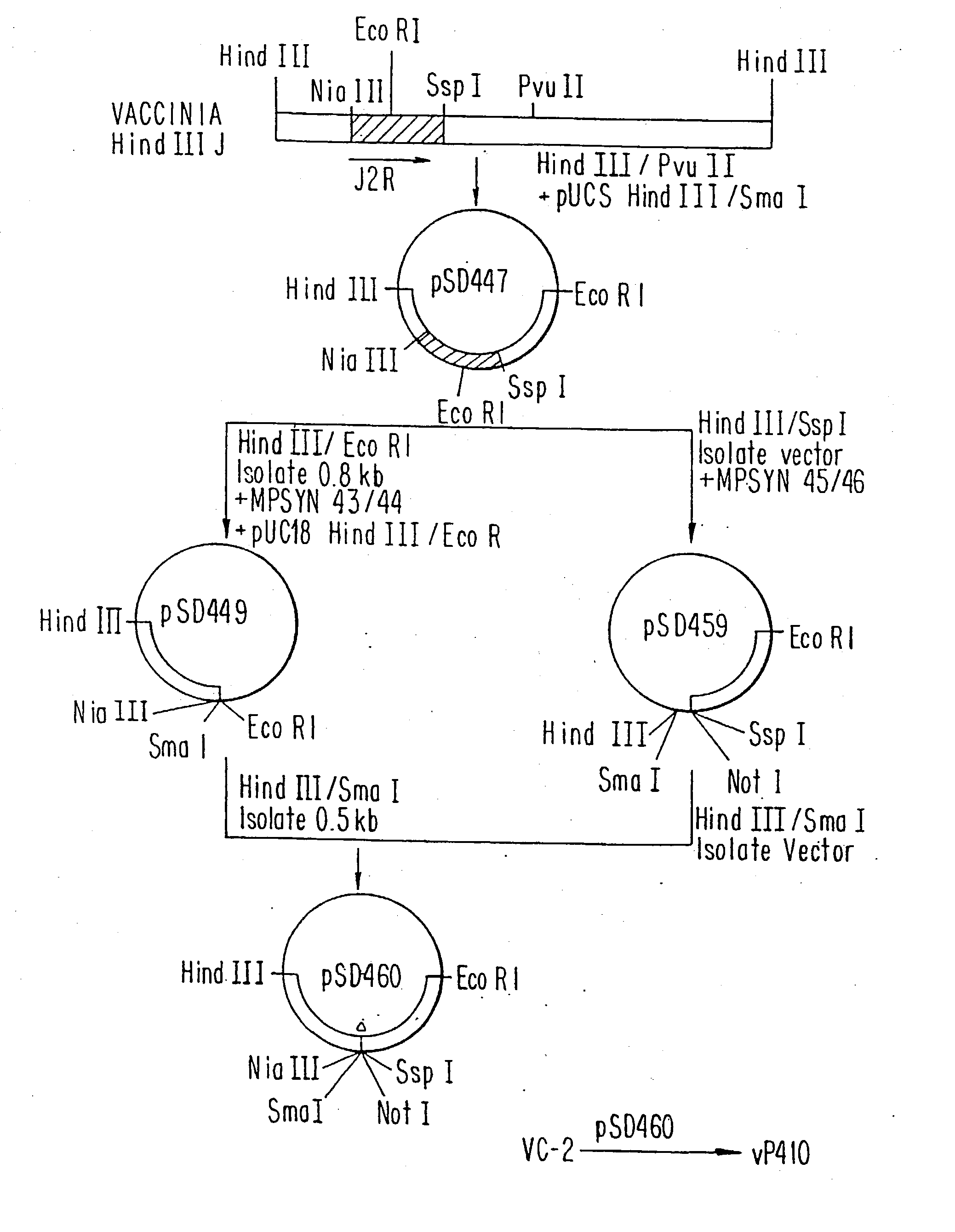 Immunodeficiency recombinant poxvirus