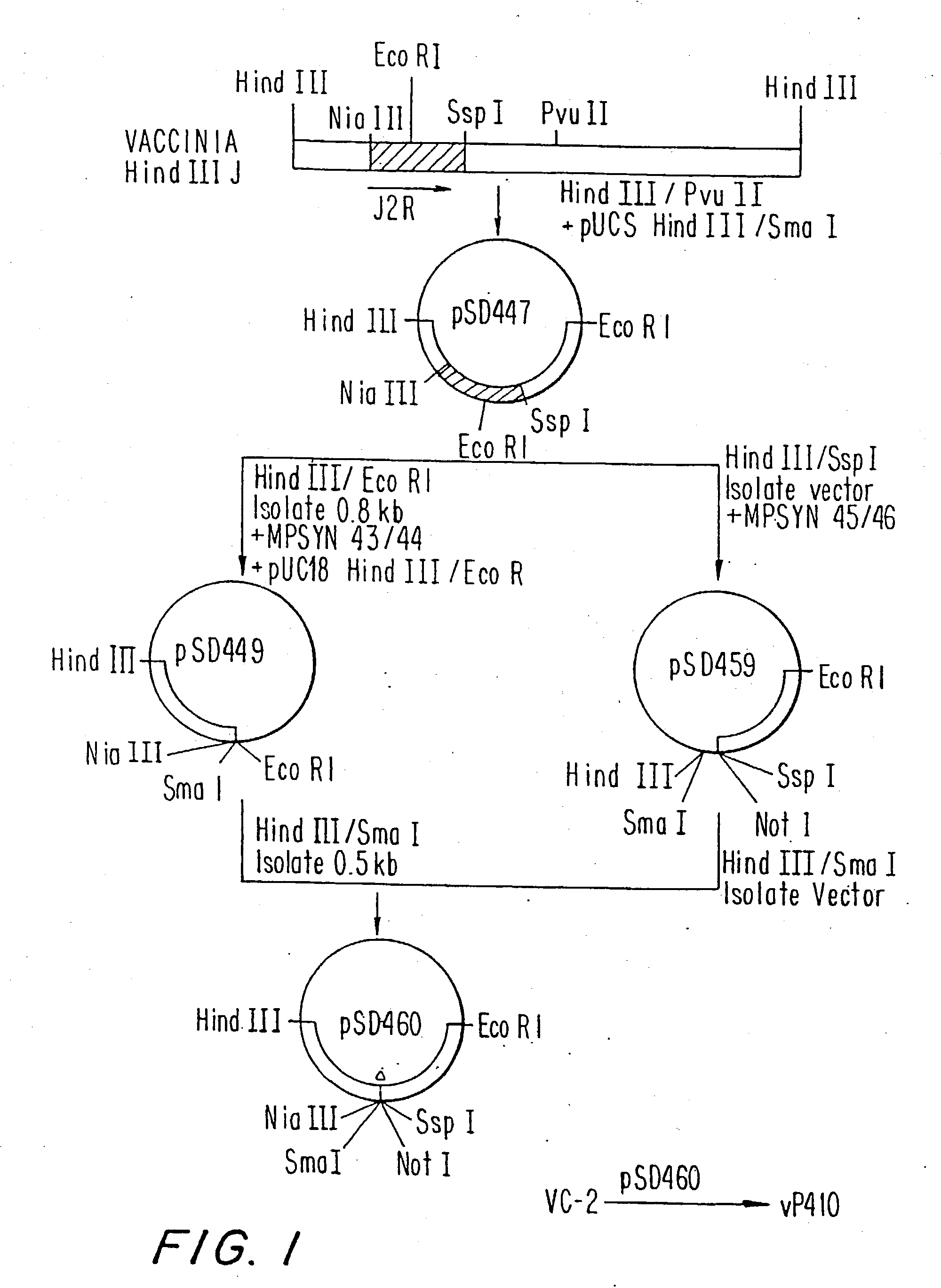 Immunodeficiency recombinant poxvirus