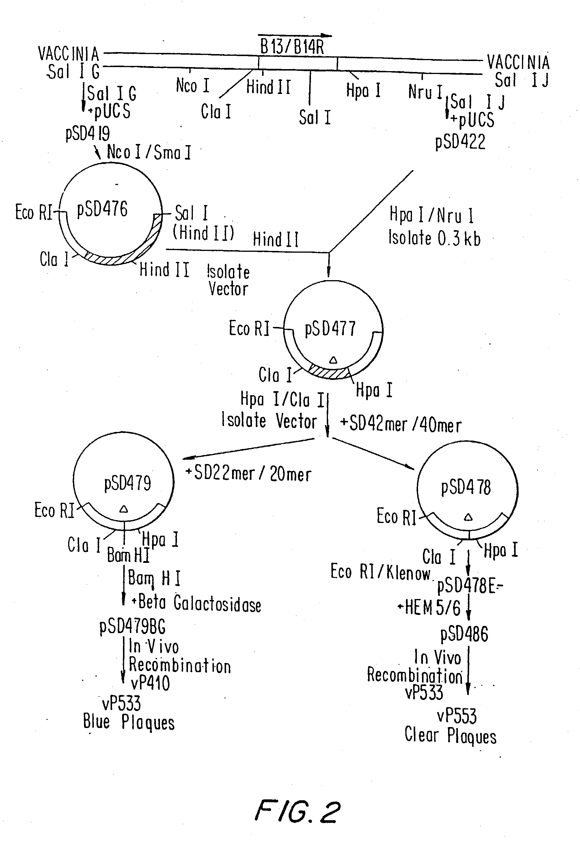 Immunodeficiency recombinant poxvirus