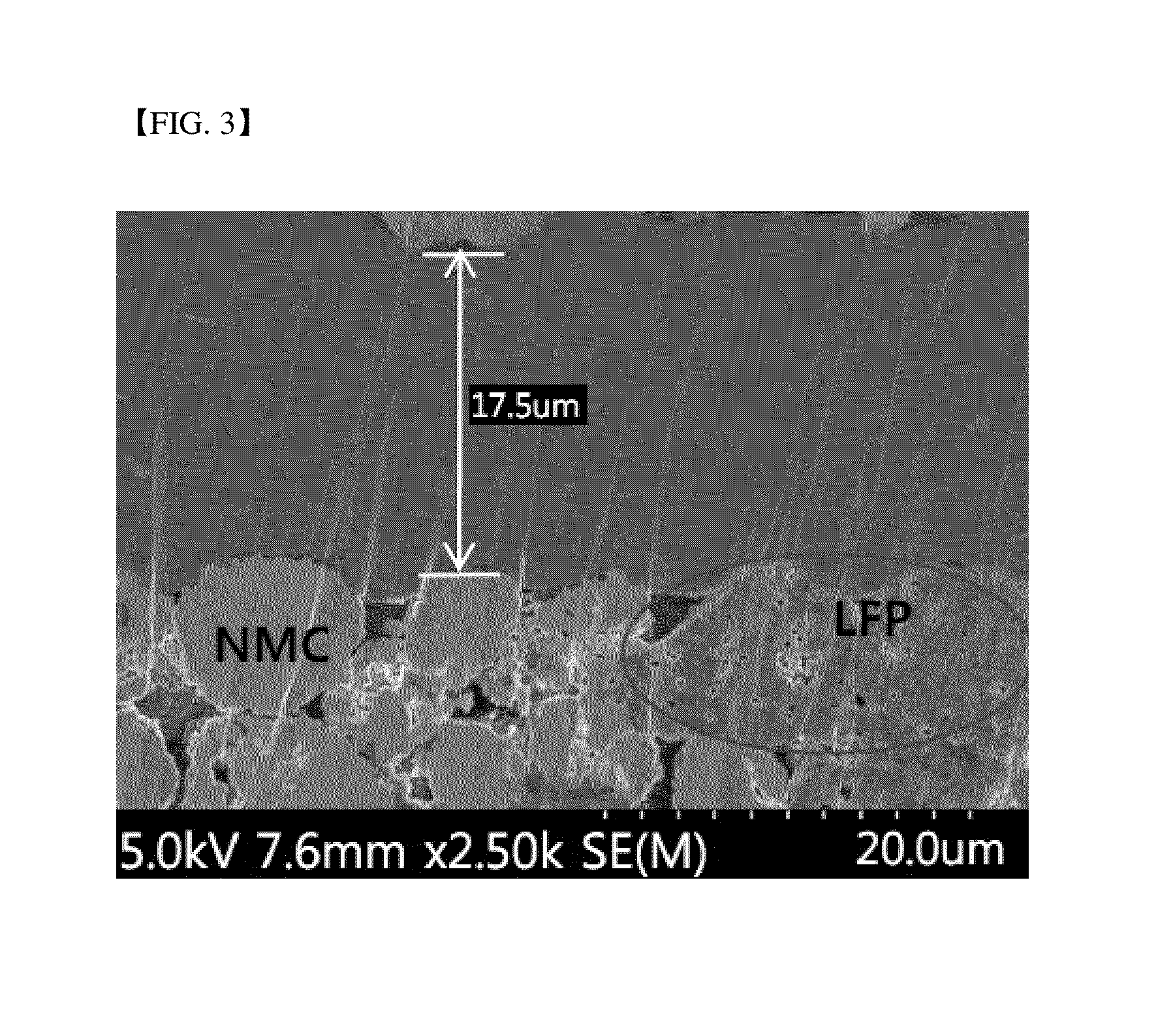 Positive electrode for secondary batteries and secondary battery including the same