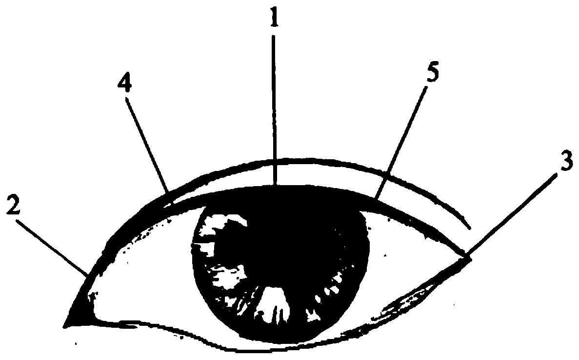 A method for grafting spiral eyelashes