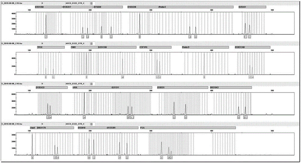 Human normal vaginal epithelial cells and application thereof