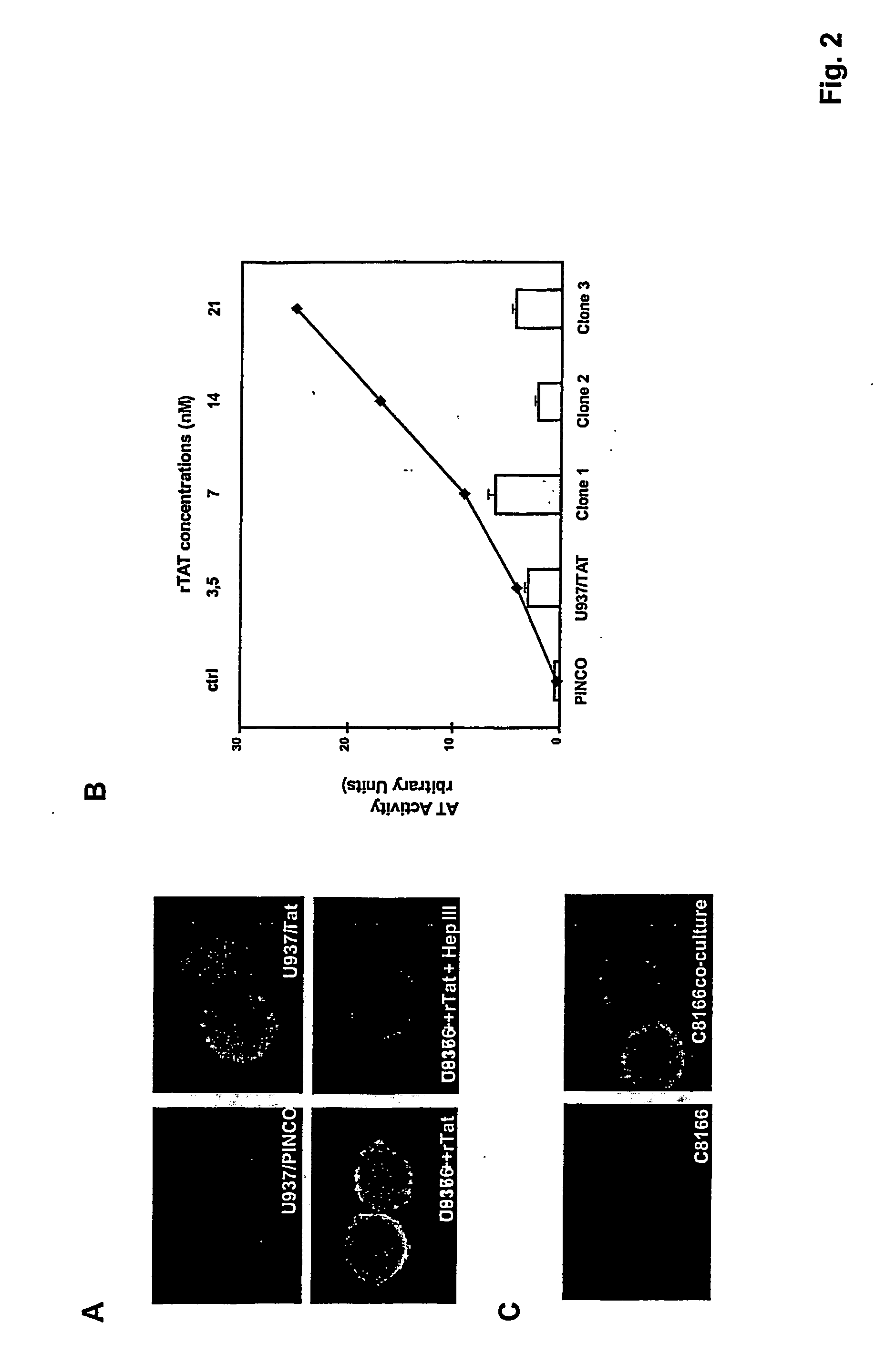 Novel mechanism for hiv-1 entry into host cells and peptides inhibiting this mechanism