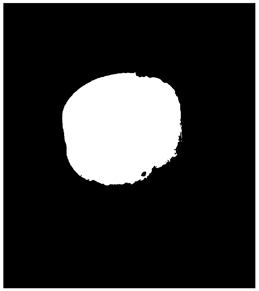 Biological compound material based on fish skin collagen and preparation method of biological compound material