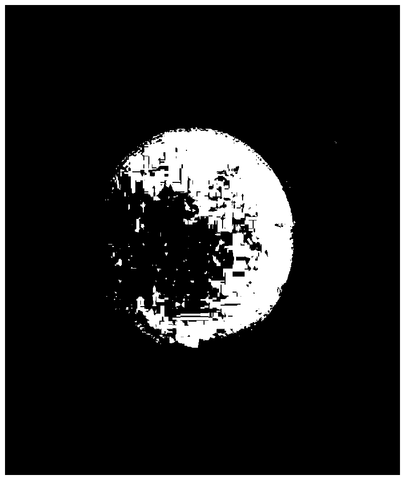 Biological compound material based on fish skin collagen and preparation method of biological compound material