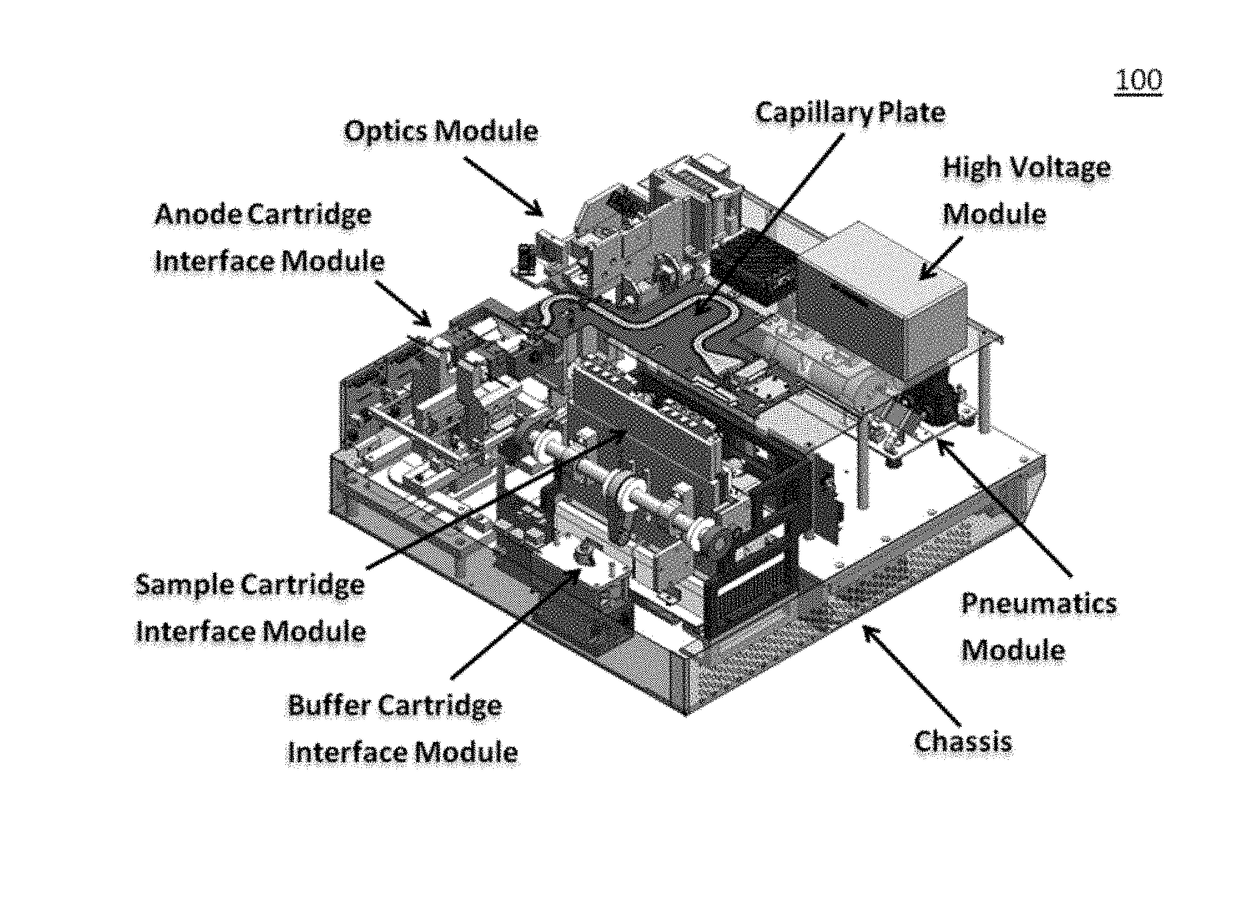 Sample preparation, processing and analysis systems