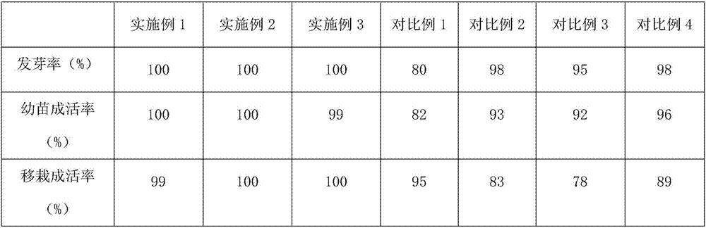 Gardening cultivation method of passion fruits