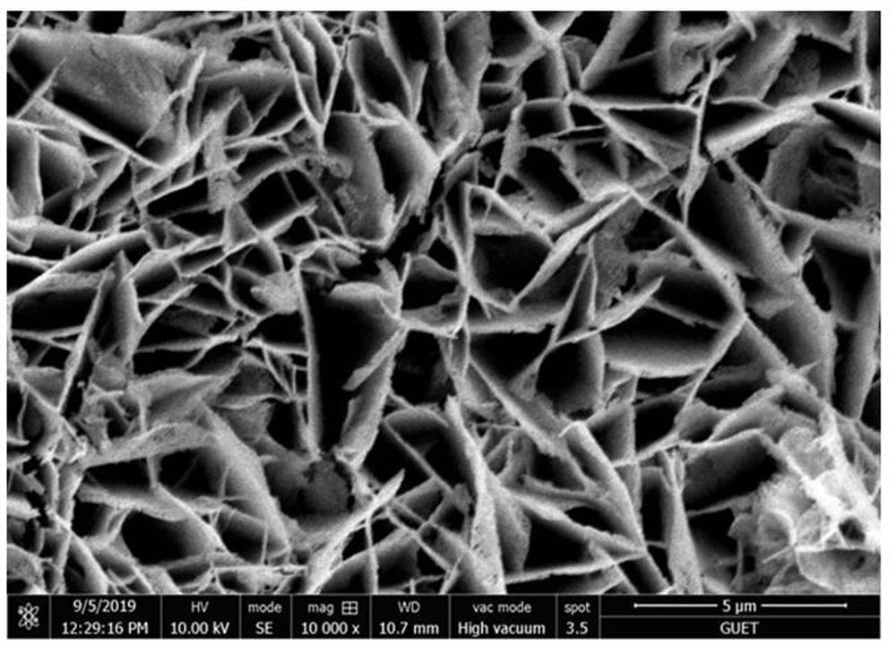 Nanoparticle-graphene-foamed nickel composite material with bionic structure, and preparation method thereof