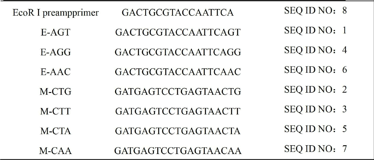 Method for identifying Chinese prawn population by using AFLP (Amplified Fragment Length Polymorphism) fingerprint technique