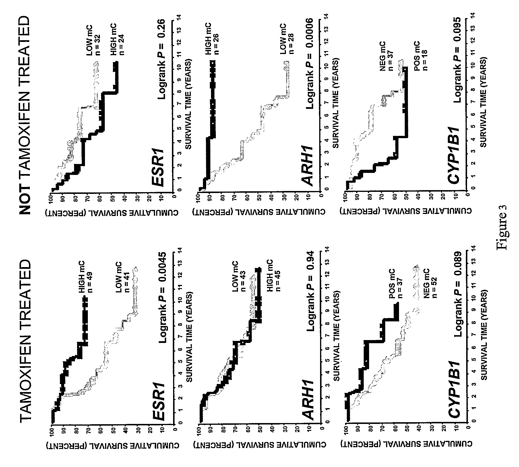 Association of the DNA methylation profile of the CYP1B1 gene with response to adjuvant therapy in breast cancer