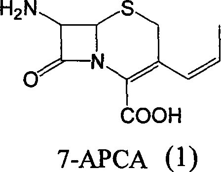 Method of preparing cefprozil parent nucleus 7-amino-3-propenylcephalosporanic acid