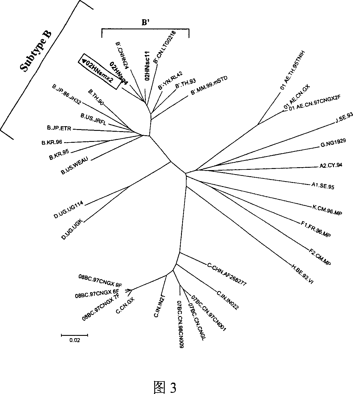 Hybridization immune deficiency virus strain and application