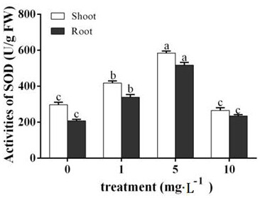 A method for increasing the content of notoginseng in Panax notoginseng