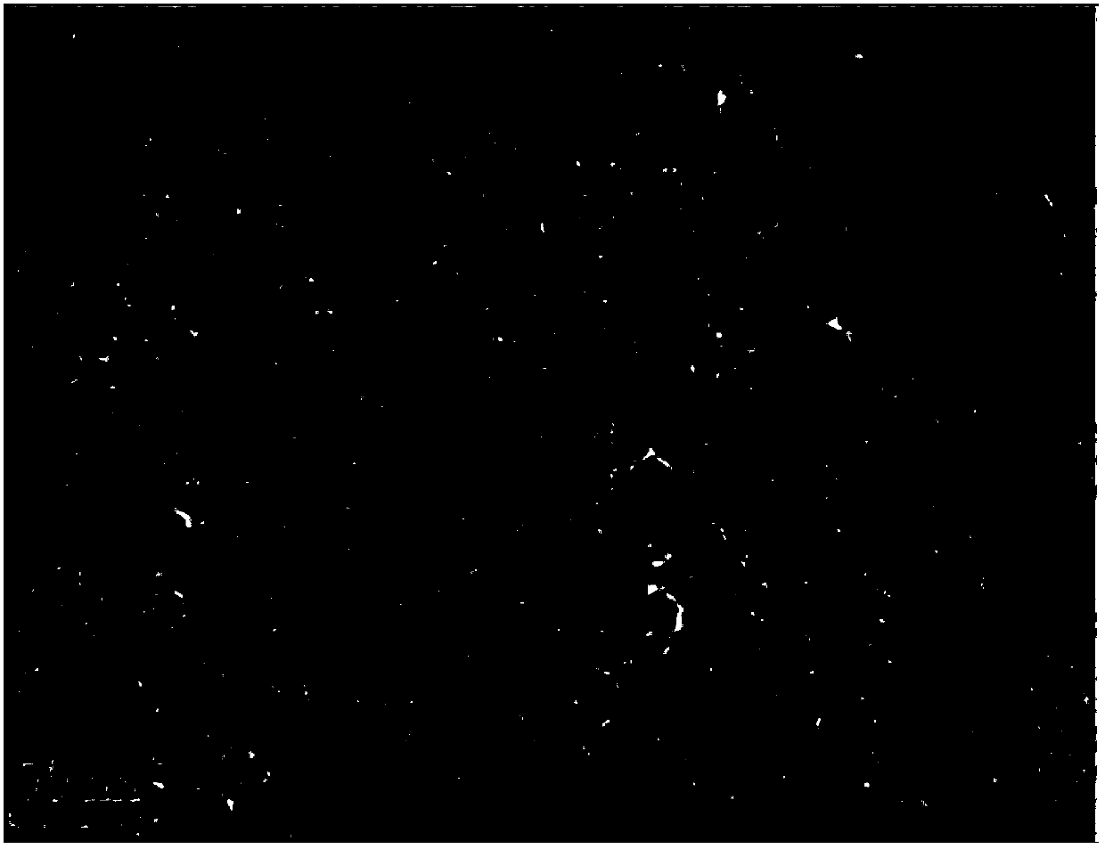 Preparation method of nano Fe3O4 powder for preparation of nano dielectric medium through compounding with polyethylene