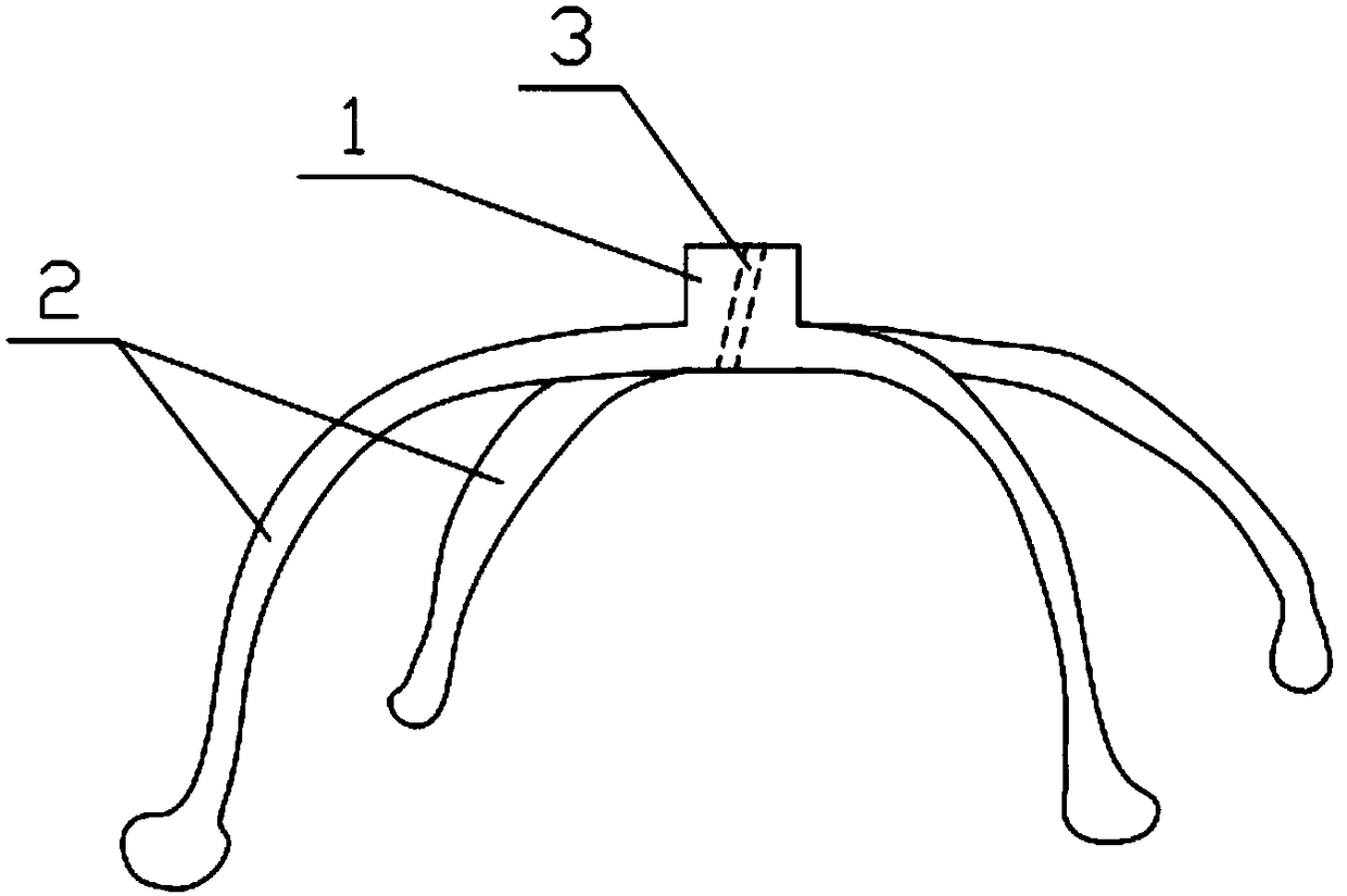 A 3D-printed in vitro auxiliary positioning device for pulmonary masses and its preparation method