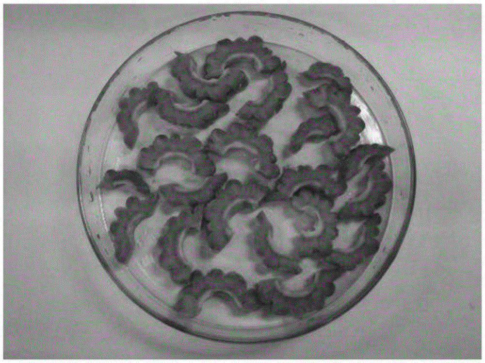 Bitter gourd dry product with high vitamin C content and preparation method thereof