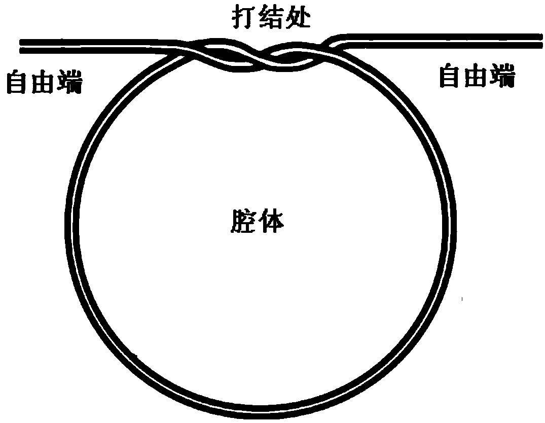 Porous channel hollow micro-knot echo wall mode resonant cavity and preparation method thereof