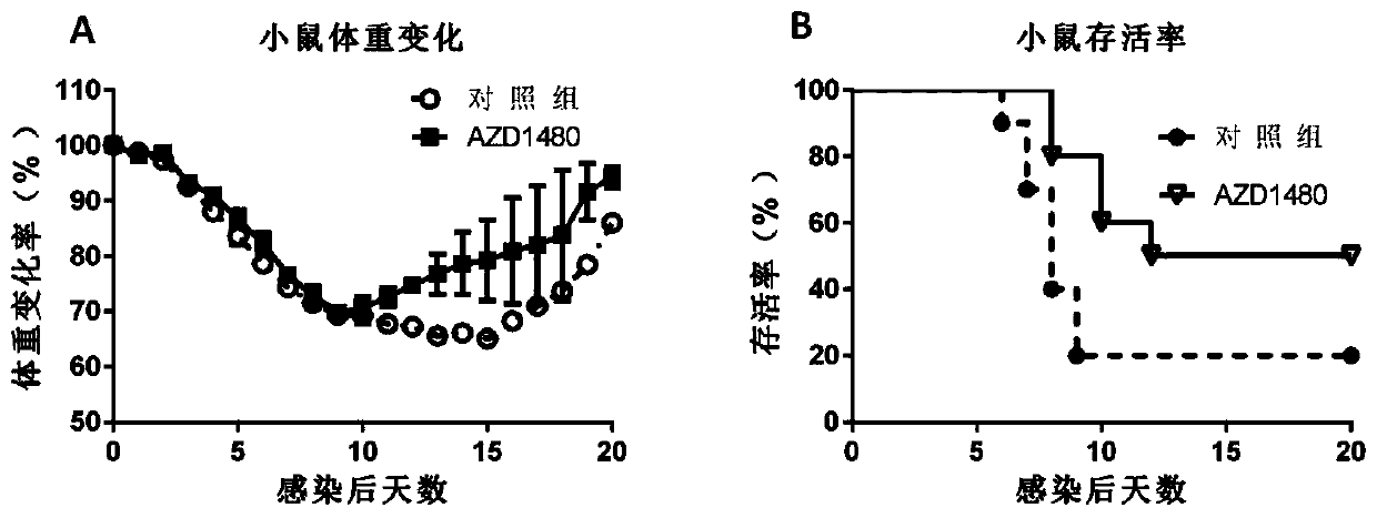 Application of AZD1480 in preparing drug for treating influenza virus infection