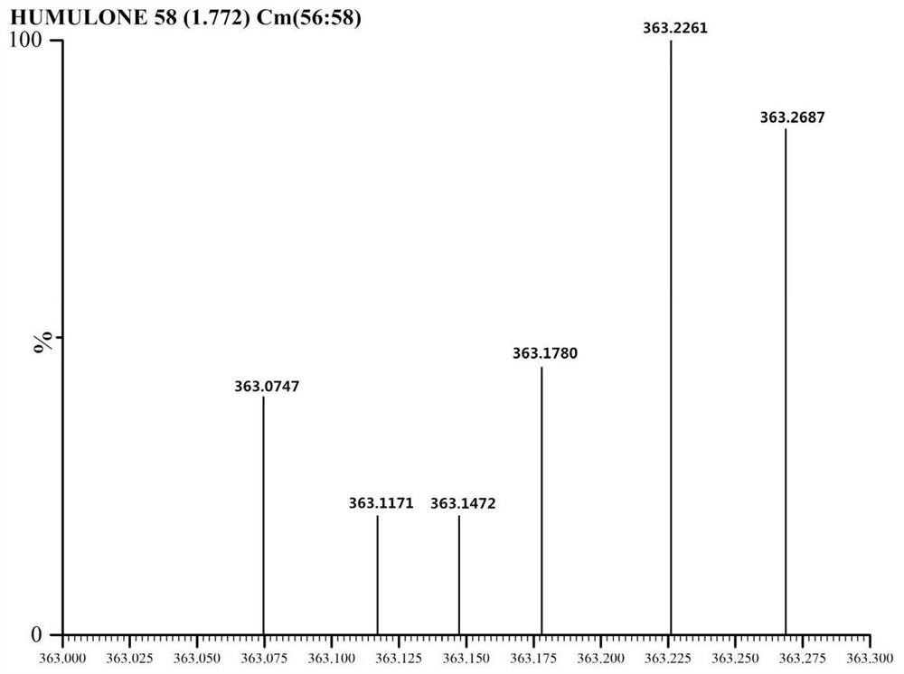 Construction method and application of engineering escherichia coli for producing humulone