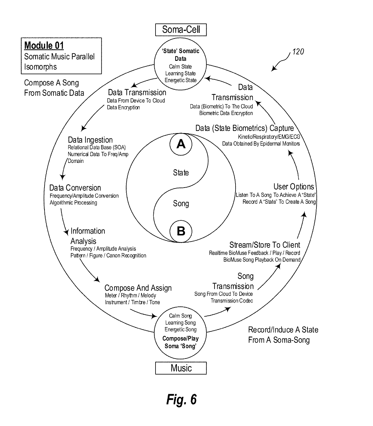 Sonification of biometric data, state-songs generation, biological simulation modelling, and artificial intelligence