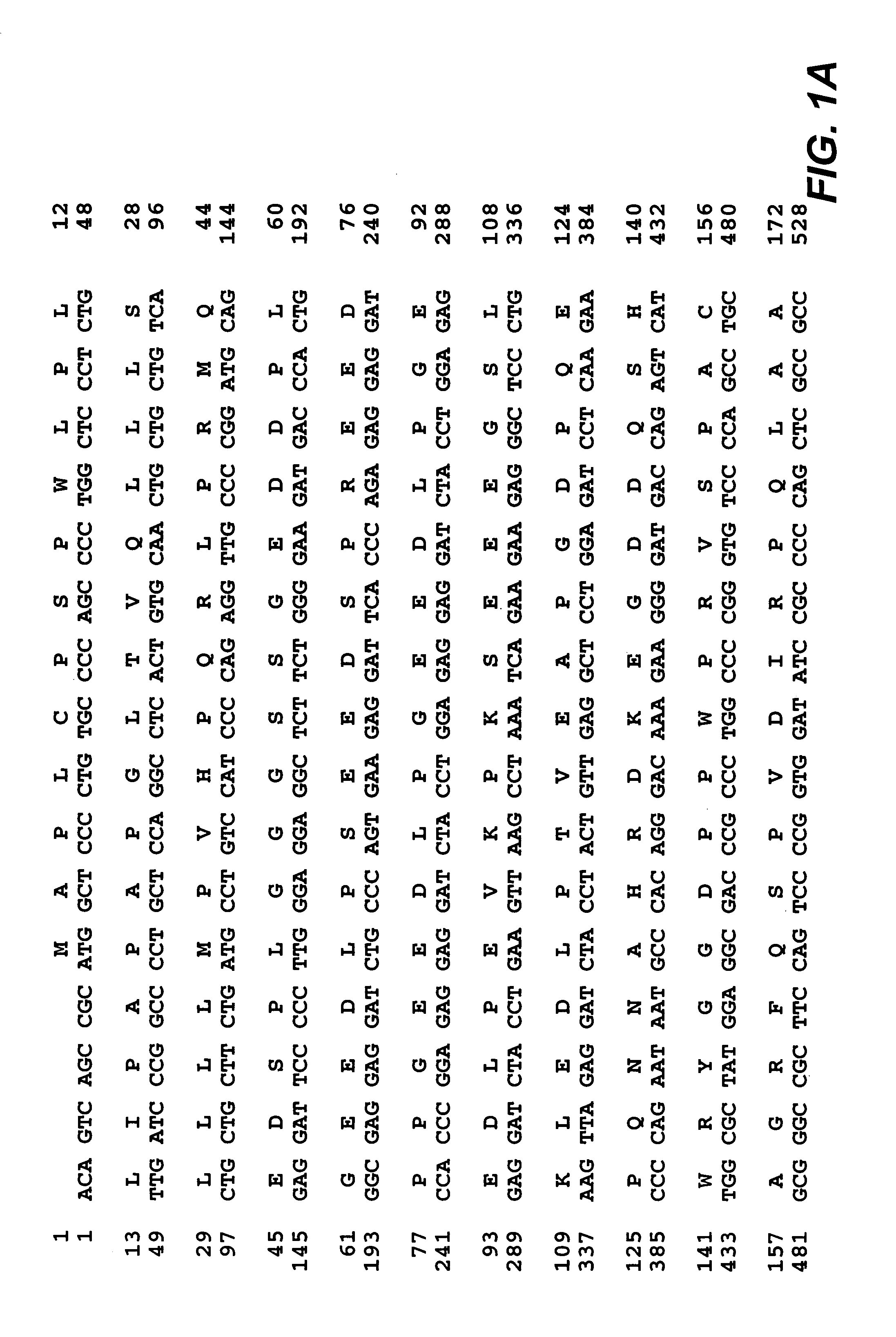 MN/CA IX and MAPK inhibition