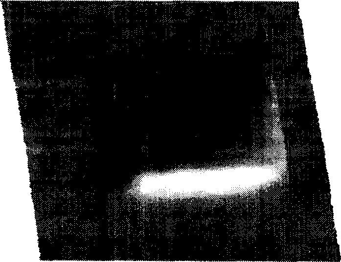 Stripable paint for laser impact treatment