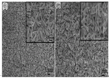 Functional bismuth oxyiodide nanoflake array photoelectric organophosphorus pesticide biosensor and preparation method thereof