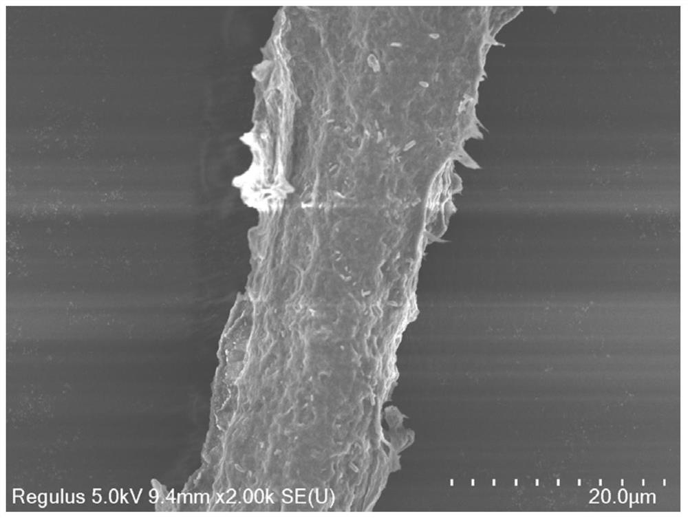 Aramid fiber modification method