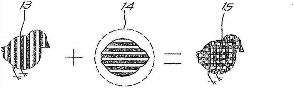 Device for determining weight and number of chick and sorting device comprising the same