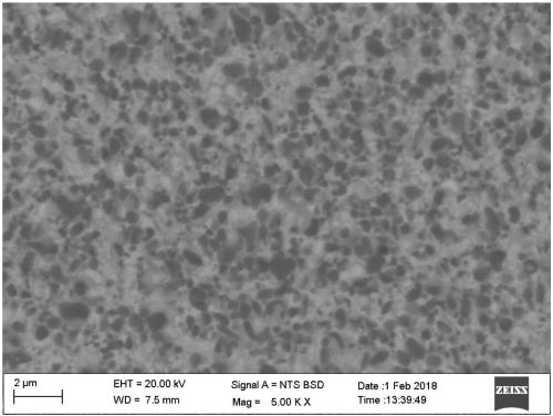 Metal ceramic alloy free of core-ring structure and preparation method thereof