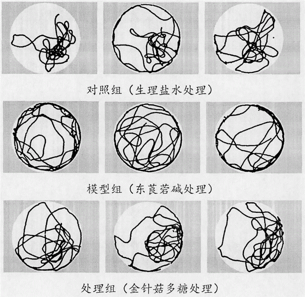 Needle mushroom cookie biscuits with function of assisting in memory improvement and preparation method of needle mushroom cookie biscuits