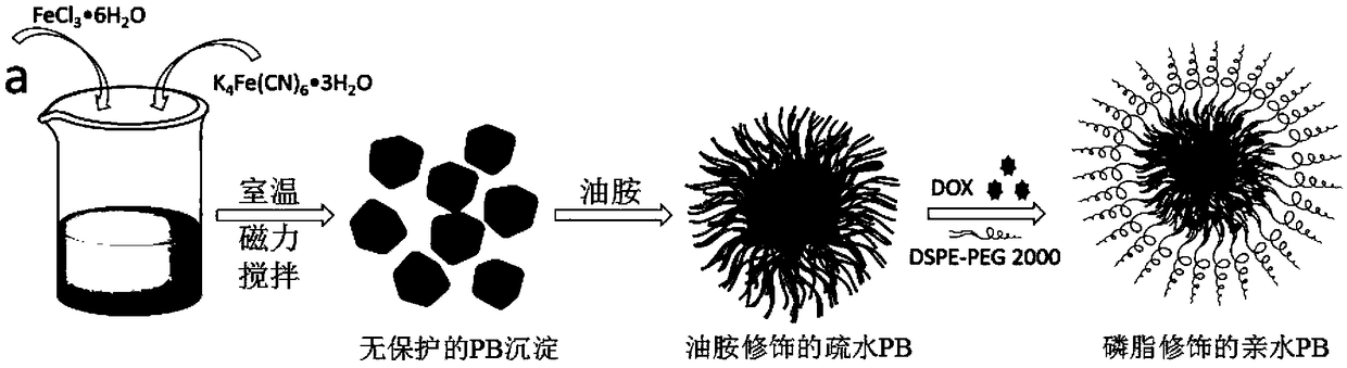 Photothermal-chemotherapy combined therapeutic agent based on Prussian blue and preparation method thereof