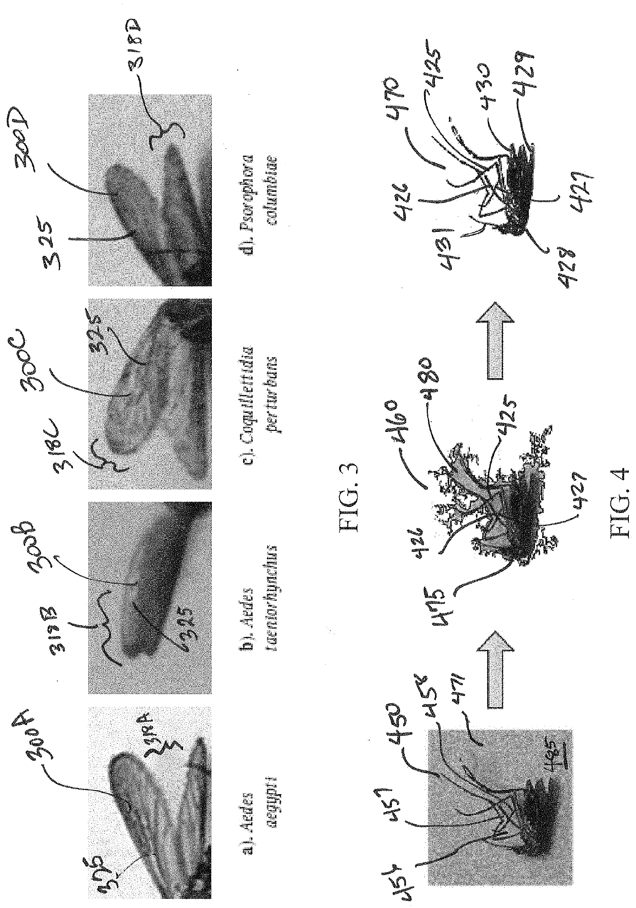 Leveraging smart-phone cameras and image processing techniques to classify mosquito genus and species