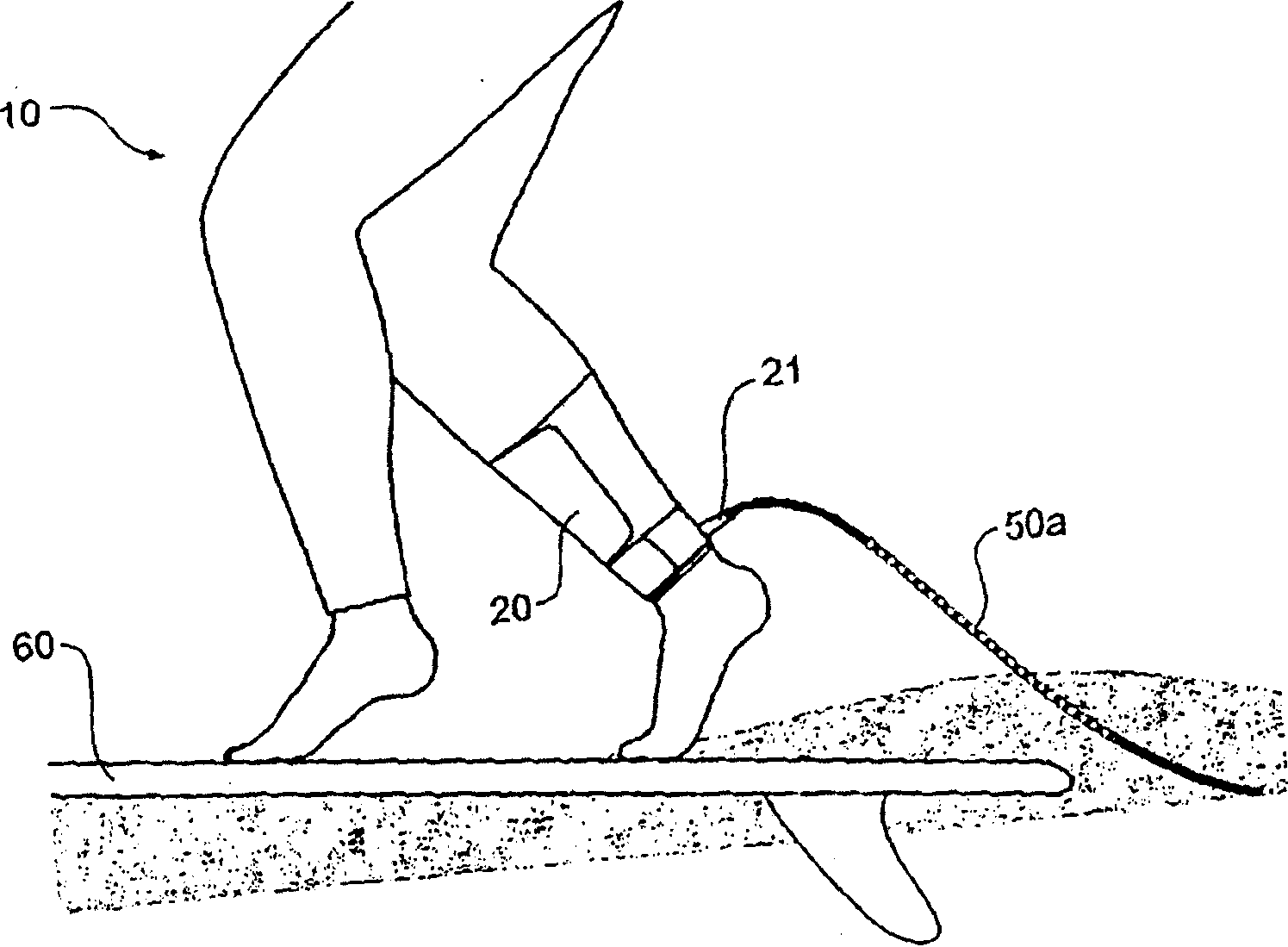 Shark repelling field generating cord