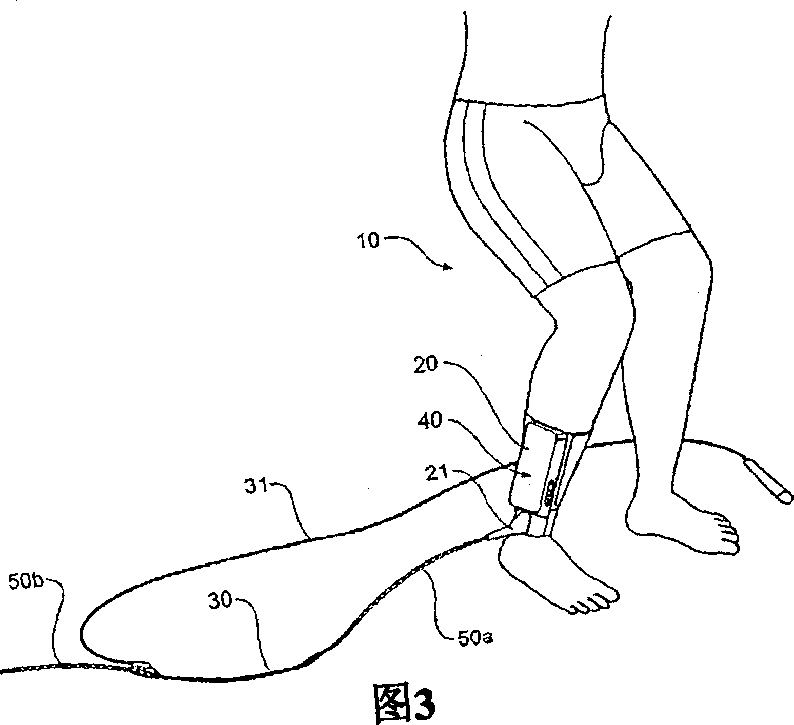 Shark repelling field generating cord